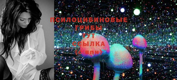 скорость Сосновка