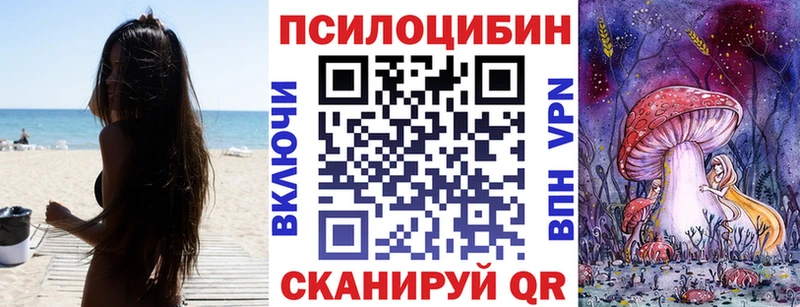 кракен ССЫЛКА  Александровск-Сахалинский  Псилоцибиновые грибы прущие грибы  сколько стоит 
